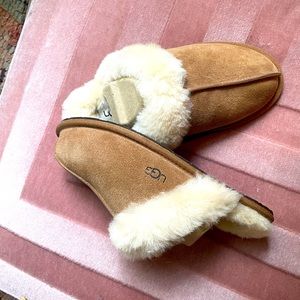 Ugh Scuffette II NEW